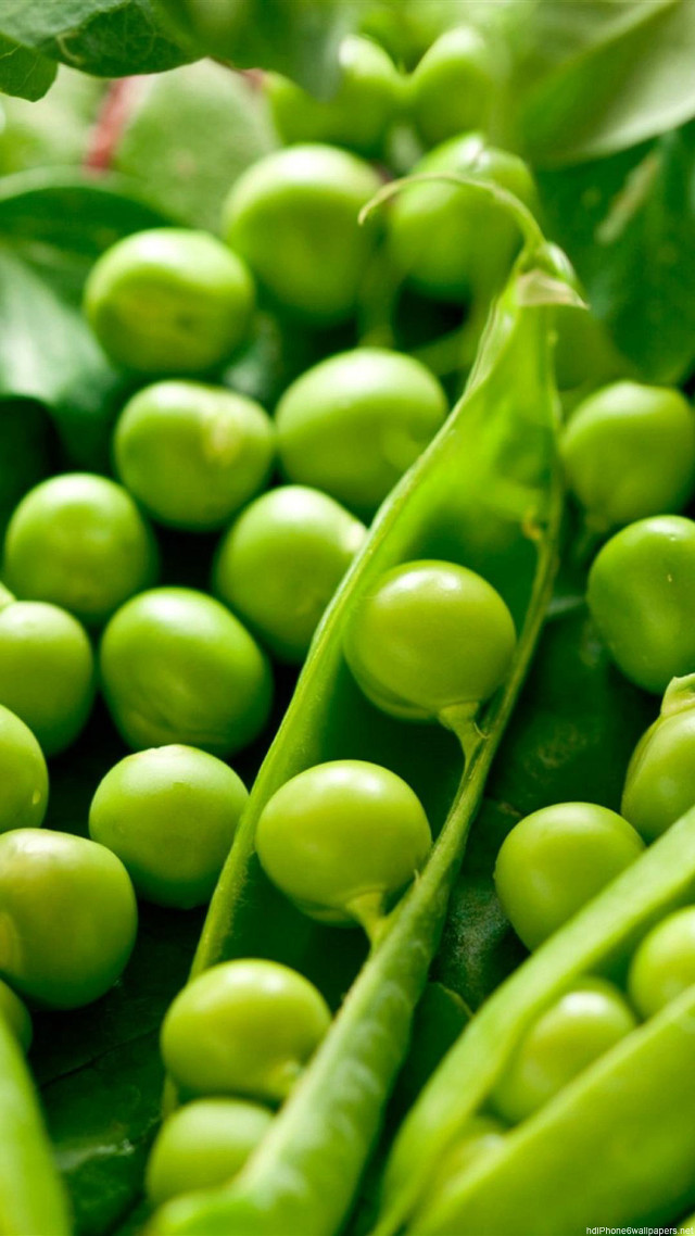 Close up green beans plant free wallpaper for mobile - medium preview image