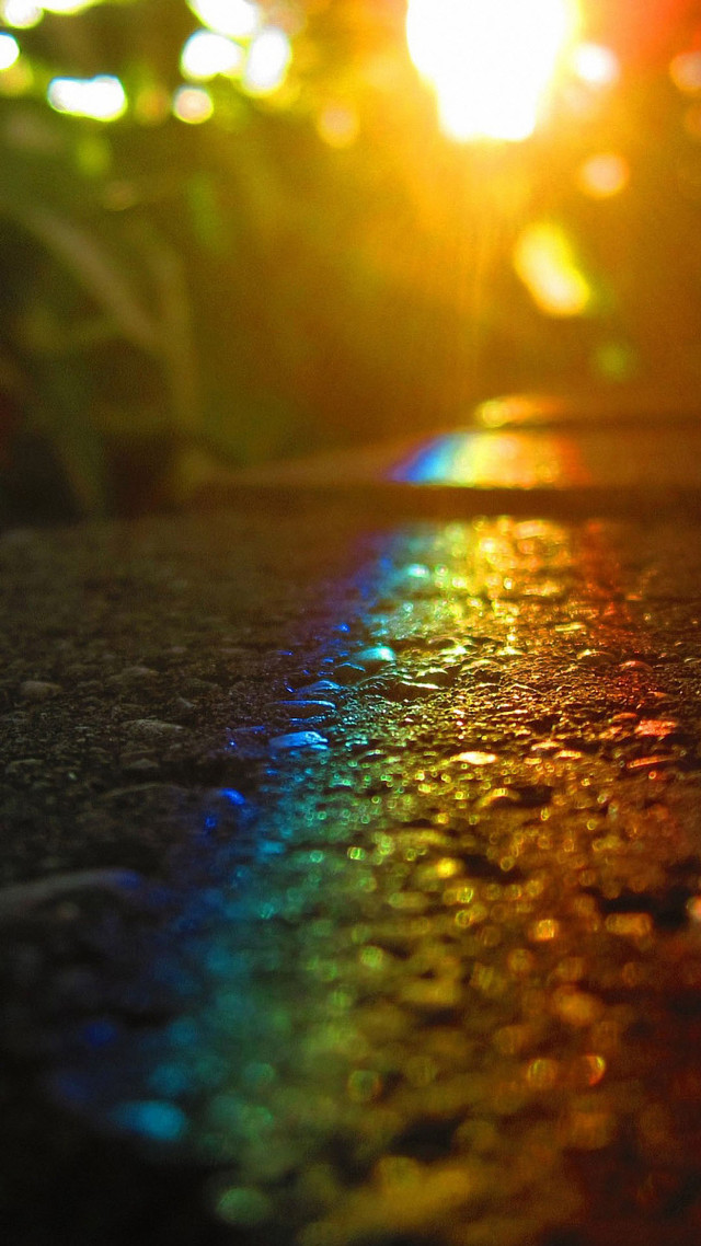 Rainbow street sunlight trees streetlight free wallpaper for mobile - medium preview image