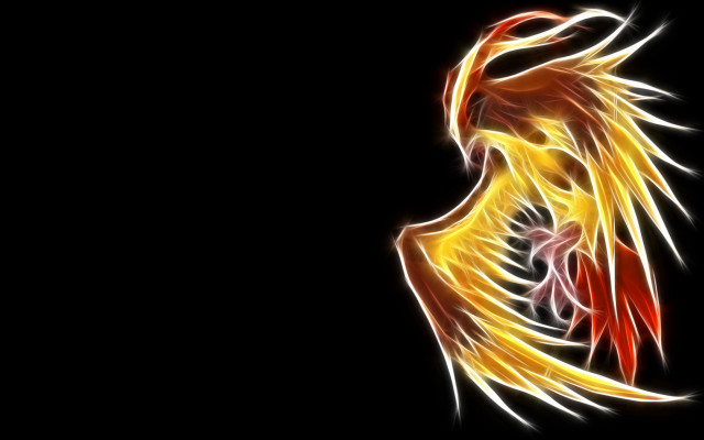 Red tail yellow wings black free wallpaper for desktop - medium preview image