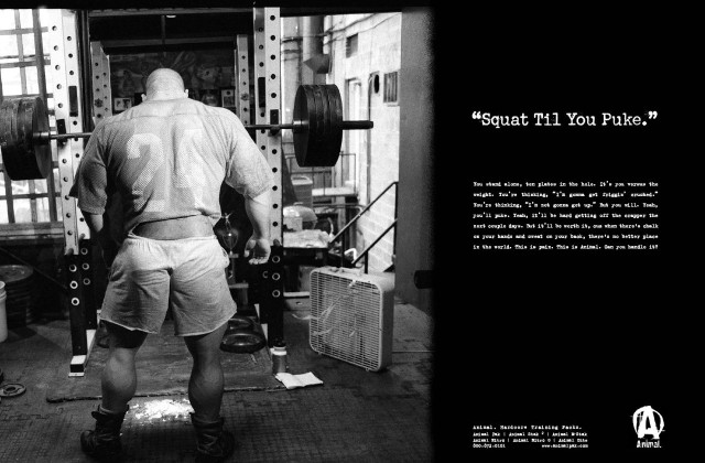 Man squats gym barbell weight free wallpaper for desktop - medium preview image