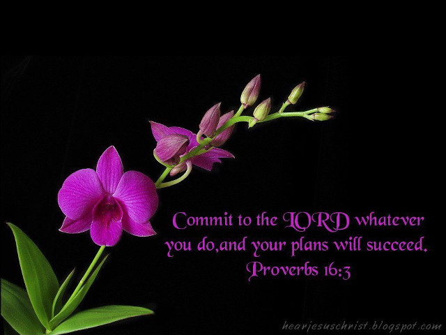 Purple flower bible verse black free wallpaper for desktop - medium preview image