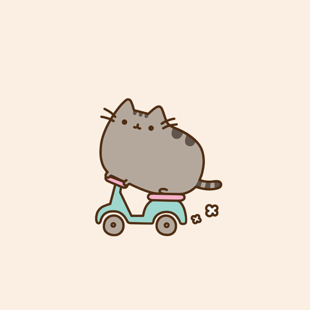 Cat riding scooter bone mouth free wallpaper for tablet - medium preview image