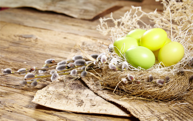Nest eggs wooden table plant free wallpaper for desktop - medium preview image