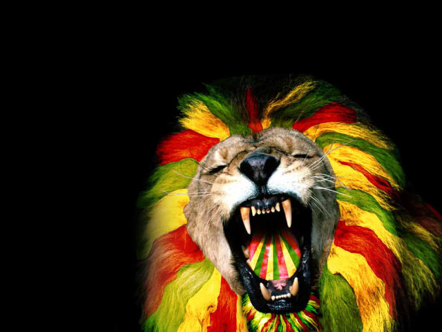 Lion mouth open fire roots free wallpaper for desktop - medium preview image
