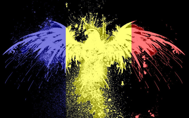 Bird france flag colors black free wallpaper for desktop - medium preview image