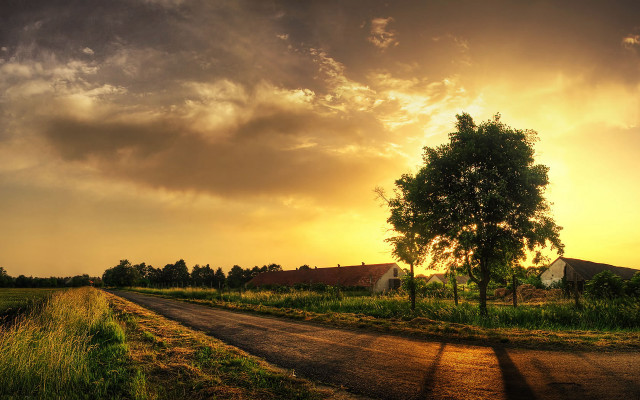 Dirt road tree sunset clouds #4 free wallpaper for desktop - medium preview image