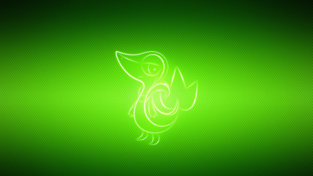 Green background bird back side free wallpaper for desktop - medium preview image