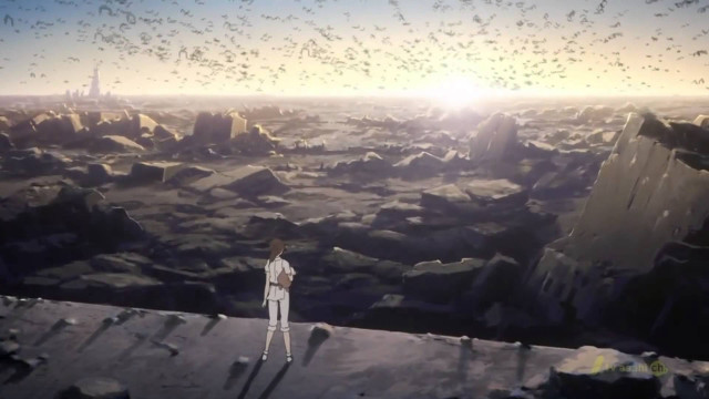 Man standing ledged looking birds free wallpaper for desktop - medium preview image