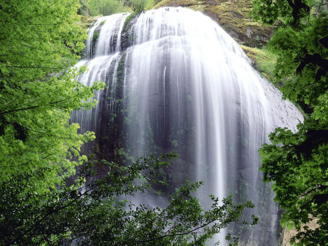 Waterfall surrounding trees nature forest free wallpaper for desktop - medium preview image