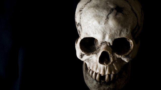 Skull black background white skull #2 free wallpaper for desktop - medium preview image