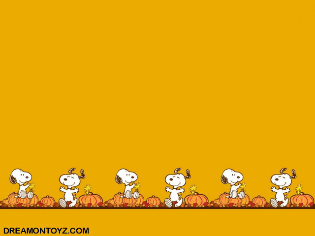 Charlie brown thanksgiving pumpkins peanuts free wallpaper for desktop - medium preview image