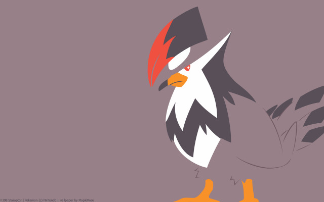 Red beaked black winged bird free wallpaper for desktop - medium preview image