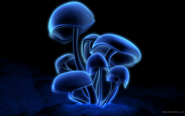 Blue mushrooms dark background blue free wallpaper for desktop - medium preview image