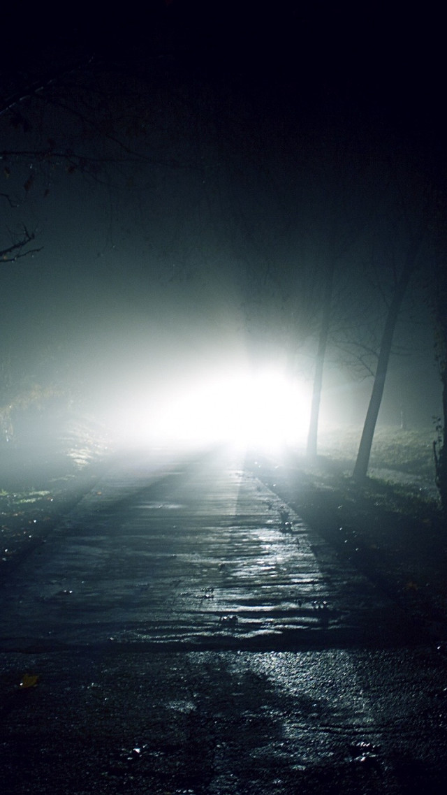 Foggy road car night light free wallpaper for mobile - medium preview image