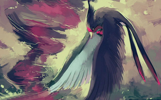 Bird red beak long wings free wallpaper for desktop - medium preview image