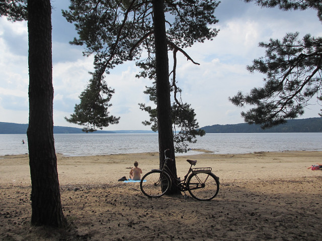 Bicycle parked tree beach ocean free wallpaper for desktop - medium preview image