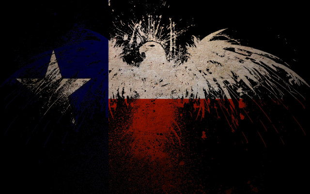 Bird texas flag star background free wallpaper for desktop - medium preview image