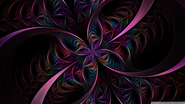 Purple flower black background pink free wallpaper for desktop - medium preview image