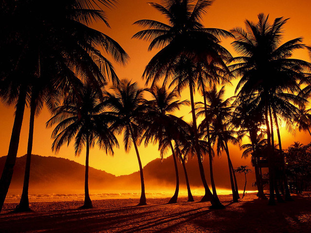 Sunset palm trees bench beach #3 free wallpaper for desktop - medium preview image