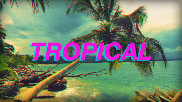 Tropical palm tree retro ocean free wallpaper for desktop - medium preview image