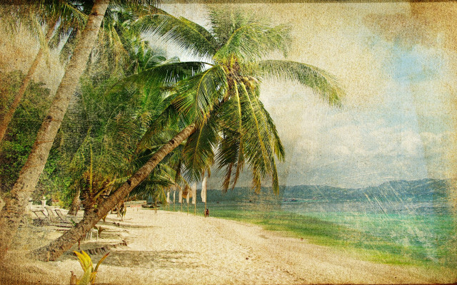 Beach palm tree blue sky #9 free wallpaper for desktop - medium preview image