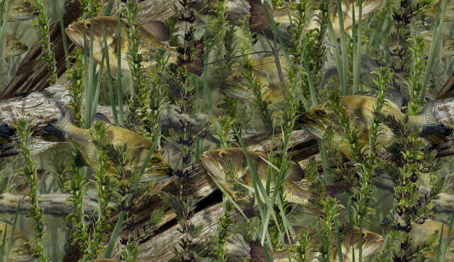 Bird sitting branch grass flowers free wallpaper for desktop - medium preview image