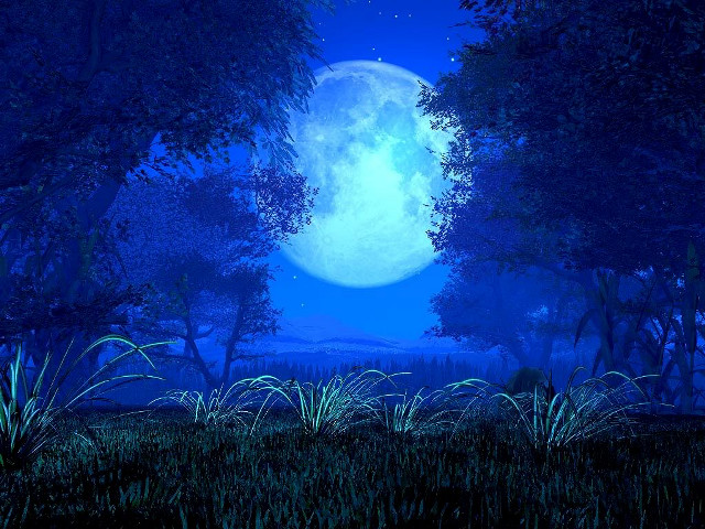 Moonlit blue sky trees grass free wallpaper for desktop - medium preview image