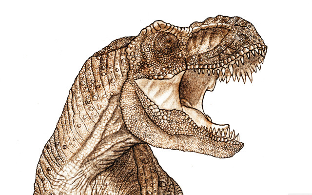 Dinosaur tshirt drawing large head free wallpaper for desktop - medium preview image