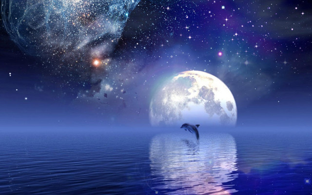 Dolphin jumping water full moon #2 free wallpaper for desktop - medium preview image