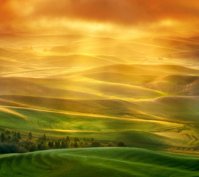 Green field trees clouds sunset #4 free wallpaper for tablet - medium preview image