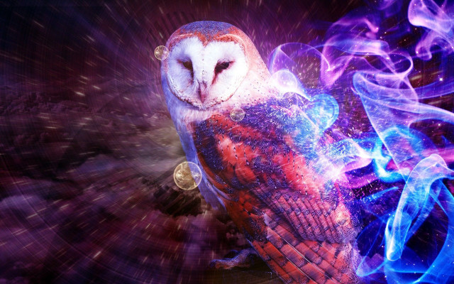 Colorful owl clock blue flame free wallpaper for desktop - medium preview image