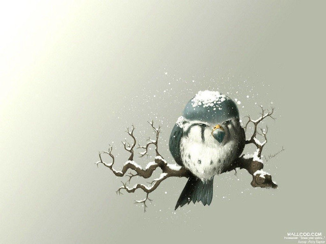 Bird glasses branch snow snowflakes free wallpaper for desktop - medium preview image