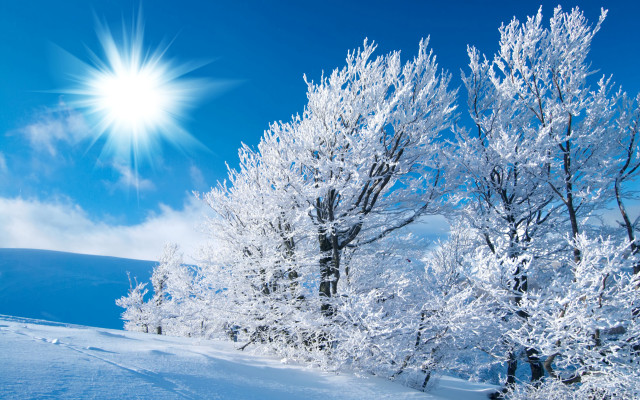 Sunny day mountains snow trees #2 free wallpaper for desktop - medium preview image