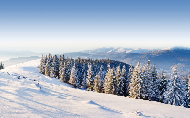Snowy mountain trees blue sky free wallpaper for desktop - medium preview image