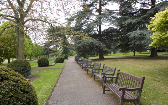 Benches park trees bushes sidewalk free wallpaper for desktop - medium preview image