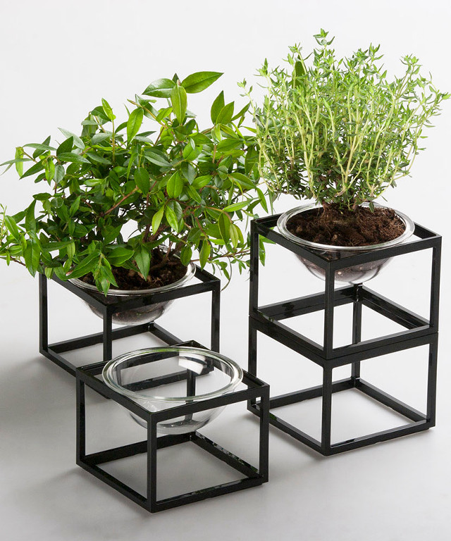 Small plants black planter white free wallpaper for mobile - medium preview image