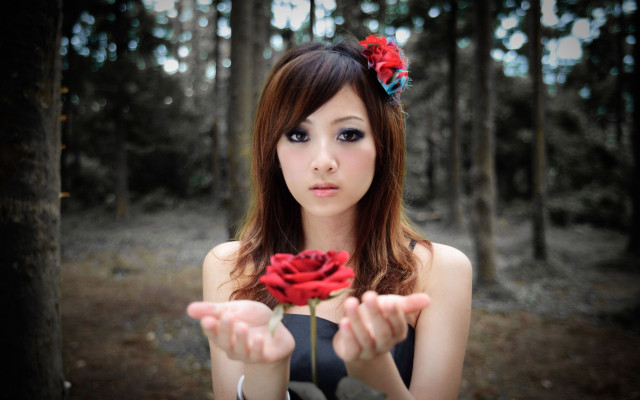 Woman holding rose forest trees free wallpaper for desktop - medium preview image