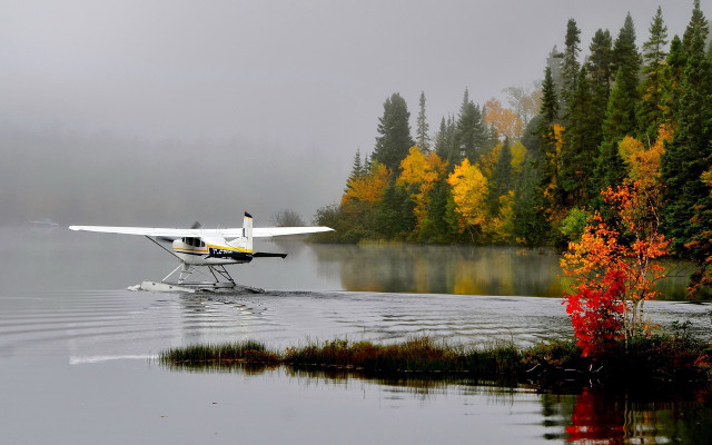 Small plane lake fall trees free wallpaper for desktop - medium preview image