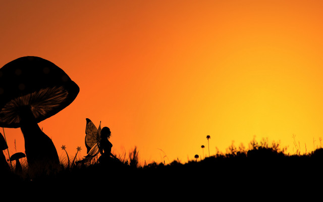 Mushroom butterfly silhouette dawn froud free wallpaper for desktop - medium preview image