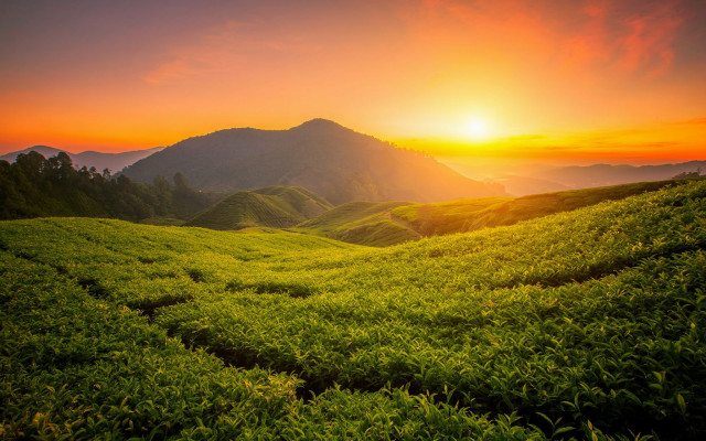 Sunset green hills mountains valley free wallpaper for desktop - medium preview image