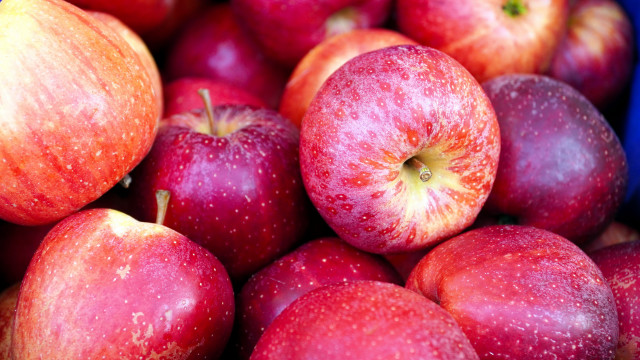 Red apples green center water free wallpaper for desktop - medium preview image