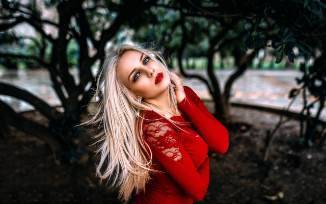 Red dress park christmas blurry free wallpaper for desktop - medium preview image