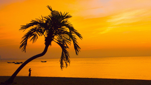 Palm beach sunset person dusk free wallpaper for desktop - medium preview image