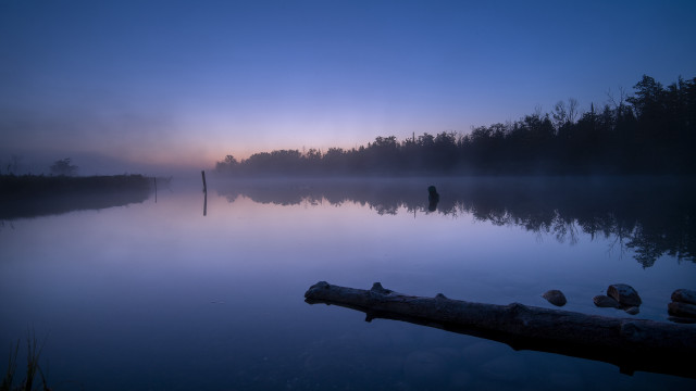 Lake log foggy dawn trees free wallpaper for desktop - medium preview image