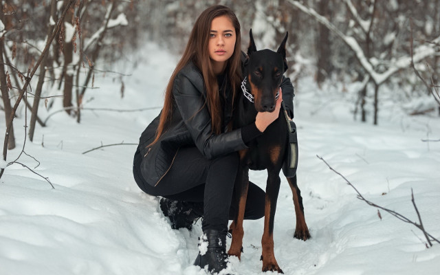 Woman kneeling snow dog forest free wallpaper for desktop - medium preview image