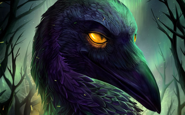 Yellow eyes owl forest night free wallpaper for desktop - medium preview image