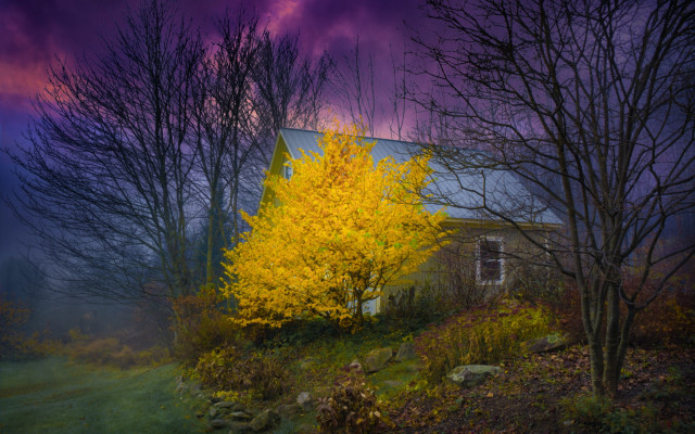 House yellow tree purple sky free wallpaper for desktop - medium preview image