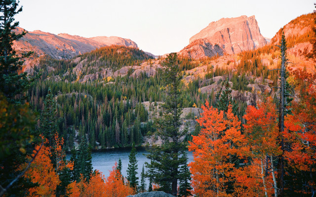 Mountain lake trees rocks autumn free wallpaper for desktop - medium preview image