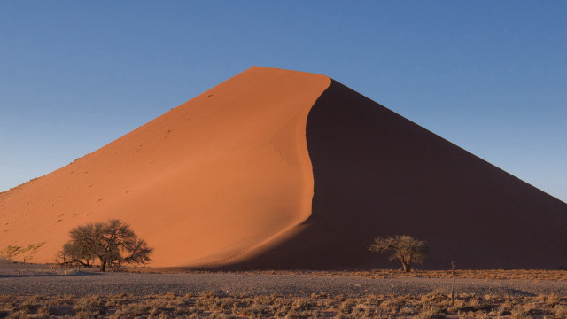 Sand dune tree blue sky free wallpaper for desktop - medium preview image