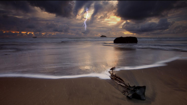Beach tree branch sand lightning free wallpaper for desktop - medium preview image